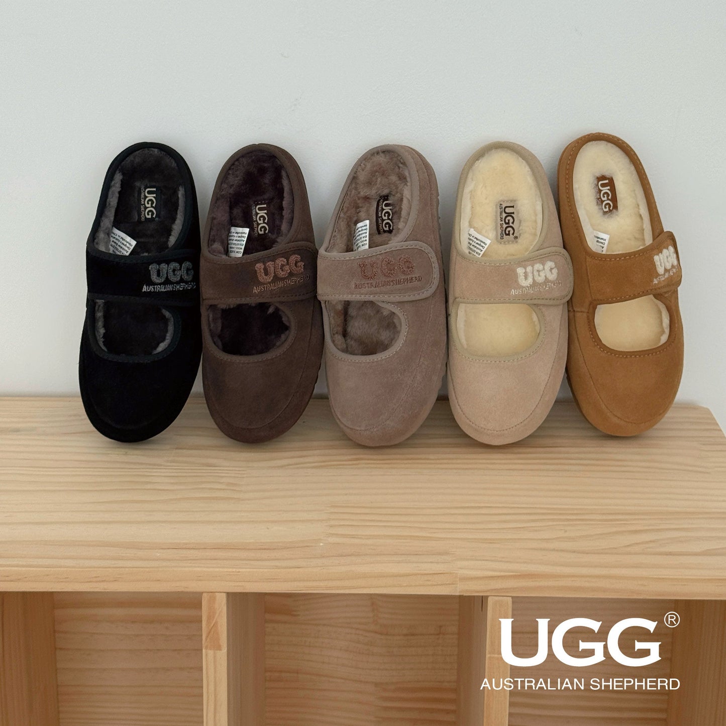 EVERUGG AS2116 Velly